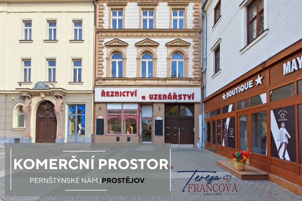 Vaše realitní makléřka (1000 x 667 px) (2) Tereza Francová realitní makléř Prostějov, Olomouc